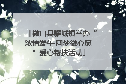 微山县驩城镇举办“浓情端午·圆梦微心愿”爱心帮扶活动