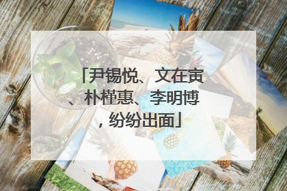 尹锡悦、文在寅、朴槿惠、李明博，纷纷出面