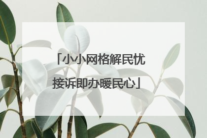 小小网格解民忧 接诉即办暖民心