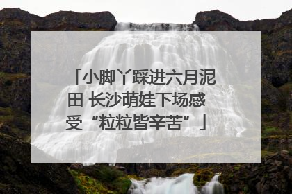 小脚丫踩进六月泥田 长沙萌娃下场感受“粒粒皆辛苦”