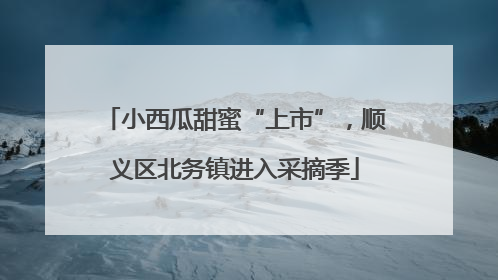 小西瓜甜蜜“上市”，顺义区北务镇进入采摘季