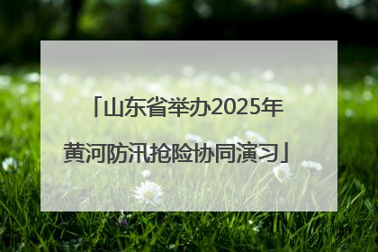 山东省举办2025年黄河防汛抢险协同演习