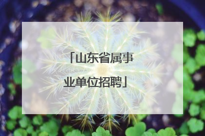 山东省属事业单位招聘