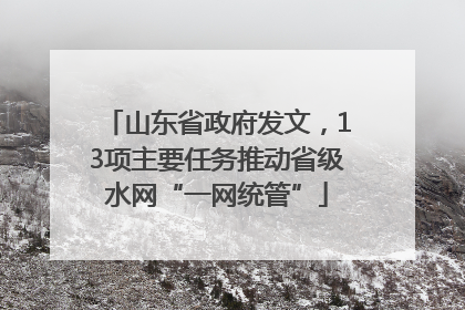 山东省政府发文，13项主要任务推动省级水网“一网统管”