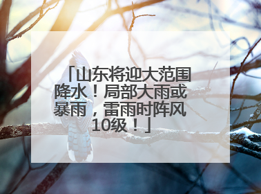 山东将迎大范围降水！局部大雨或暴雨，雷雨时阵风10级！