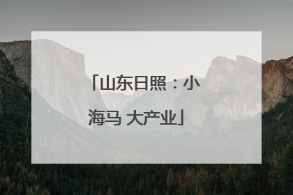 山东日照：小海马 大产业