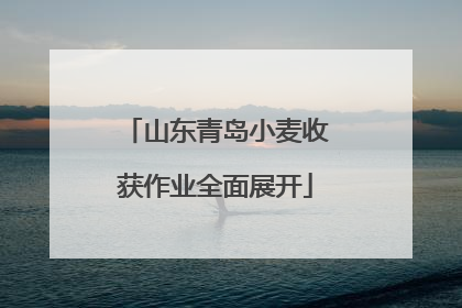 山东青岛小麦收获作业全面展开