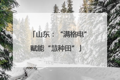 山东：“满格电”赋能“慧种田”