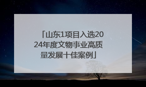 山东1项目入选2024年度文物事业高质量发展十佳案例