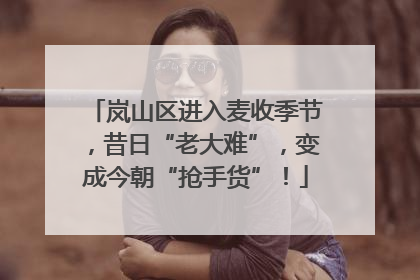 岚山区进入麦收季节，昔日“老大难”，变成今朝“抢手货”！