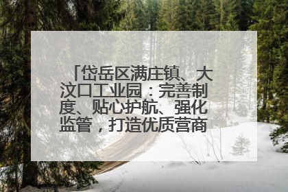 岱岳区满庄镇、大汶口工业园：完善制度、贴心护航、强化监管，打造优质营商“强磁场”