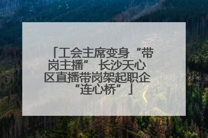 工会主席变身“带岗主播” 长沙天心区直播带岗架起职企“连心桥”