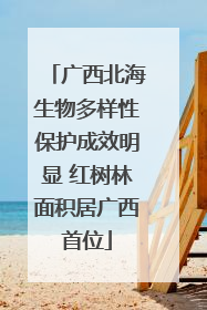 广西北海生物多样性保护成效明显 红树林面积居广西首位