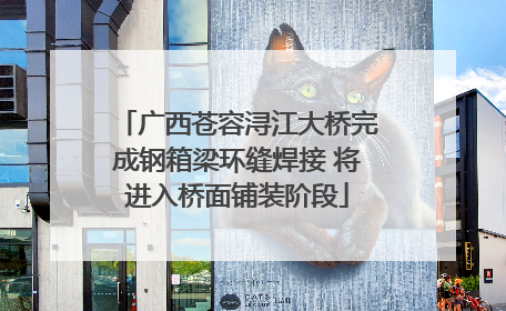 广西苍容浔江大桥完成钢箱梁环缝焊接 将进入桥面铺装阶段