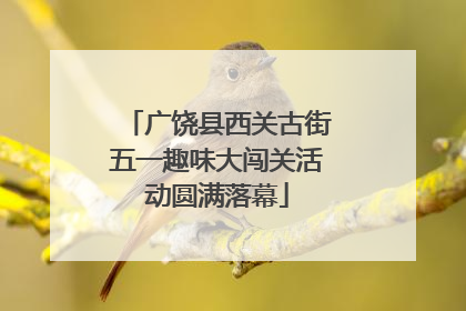 广饶县西关古街五一趣味大闯关活动圆满落幕