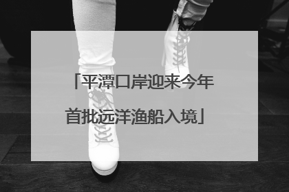 平潭口岸迎来今年首批远洋渔船入境