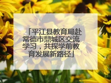 平江县教育局赴常德市鼎城区交流学习，共探学前教育发展新路径