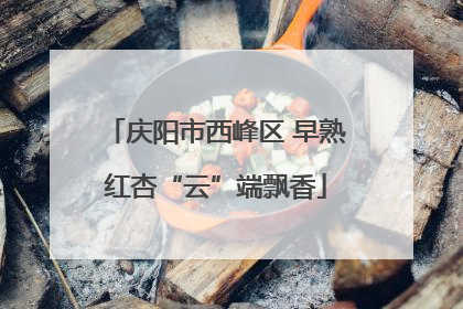 庆阳市西峰区 早熟红杏“云”端飘香