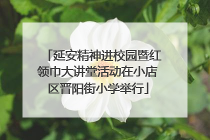 延安精神进校园暨红领巾大讲堂活动在小店区晋阳街小学举行