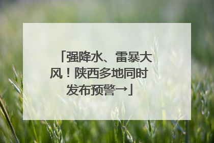 强降水、雷暴大风！陕西多地同时发布预警→