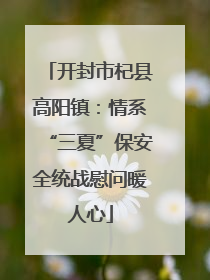 开封市杞县高阳镇：情系“三夏”保安全统战慰问暖人心