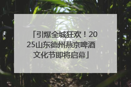 引爆全城狂欢！2025山东德州燕京啤酒文化节即将启幕