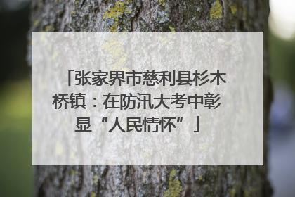 张家界市慈利县杉木桥镇：在防汛大考中彰显“人民情怀”