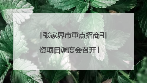 张家界市重点招商引资项目调度会召开