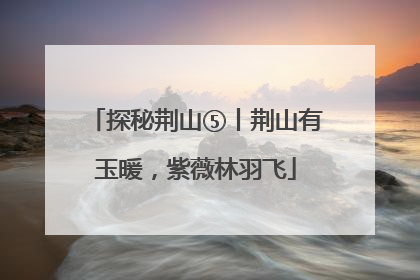 探秘荆山⑤丨荆山有玉暖，紫薇林羽飞