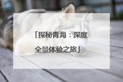 探秘青海：深度全景体验之旅