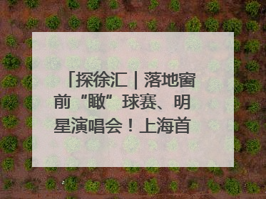探徐汇｜落地窗前“瞰”球赛、明星演唱会！上海首家体育特色高端酒店亮相