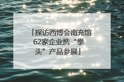 探访西博会南充馆 62家企业携“拳头”产品参展