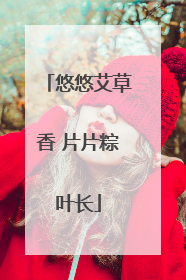 悠悠艾草香 片片粽叶长