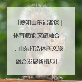 感知山东记者谈｜体育赋能 文旅融合：山东打造体商文旅融合发展新格局