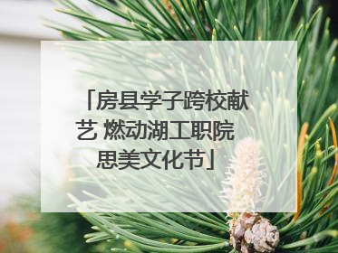 房县学子跨校献艺 燃动湖工职院思美文化节