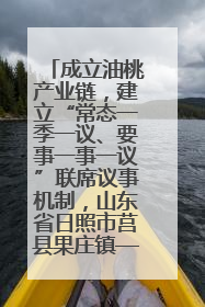 成立油桃产业链，建立“常态一季一议、要事一事一议”联席议事机制，山东省日照市莒县果庄镇——13个党小组“全周期”育果
