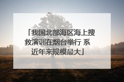 我国北部海区海上搜救演训在烟台举行 系近年来规模最大