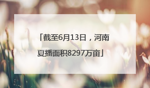 截至6月13日，河南夏播面积8297万亩