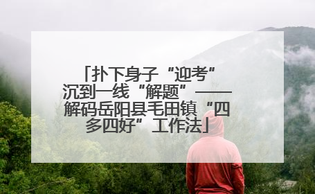 扑下身子“迎考” 沉到一线“解题”——解码岳阳县毛田镇“四多四好”工作法