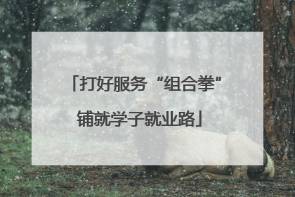 打好服务“组合拳” 铺就学子就业路