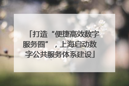 打造“便捷高效数字服务圈”，上海启动数字公共服务体系建设