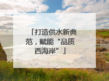 打造供水新典范，赋能“品质西海岸”