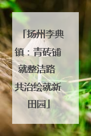 扬州李典镇：青砖铺就整洁路 共治绘就新田园