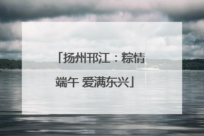 扬州邗江：粽情端午 爱满东兴