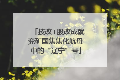 技改+股改成就兖矿国焦焦化航母中的“辽宁”号