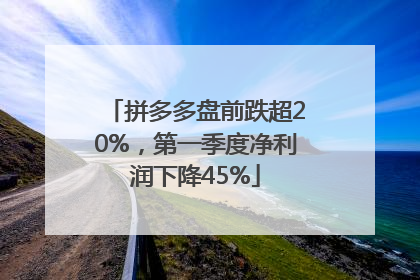 拼多多盘前跌超20%，第一季度净利润下降45%