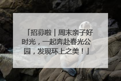 招募啦｜周末亲子好时光，一起奔赴春光公园，发现环上之美！