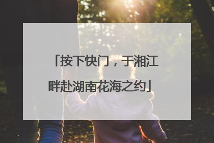 按下快门，于湘江畔赴湖南花海之约