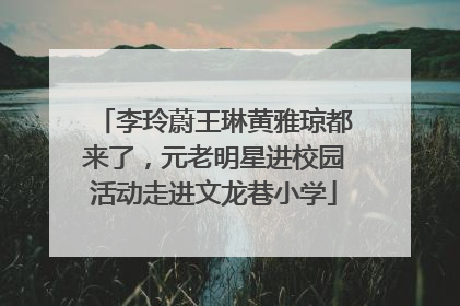 李玲蔚王琳黄雅琼都来了，元老明星进校园活动走进文龙巷小学