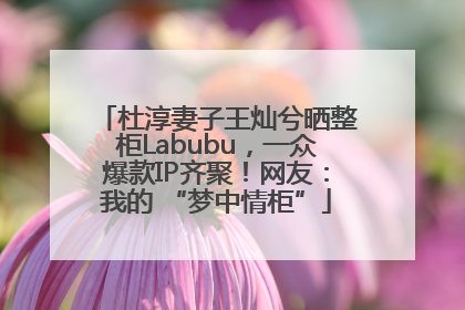 杜淳妻子王灿兮晒整柜Labubu，一众爆款IP齐聚！网友：我的 “梦中情柜”